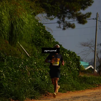 Runner Photo 5273776