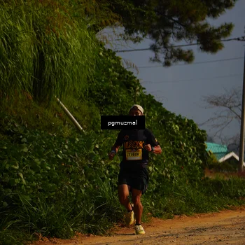 Runner Photo 5273790