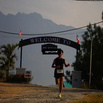 Runner Photo 5273799