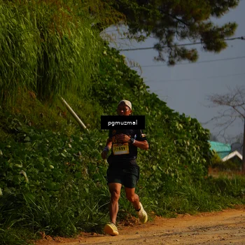 Runner Photo 5273823