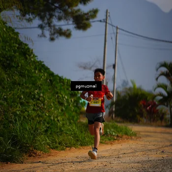Runner Photo 5273826