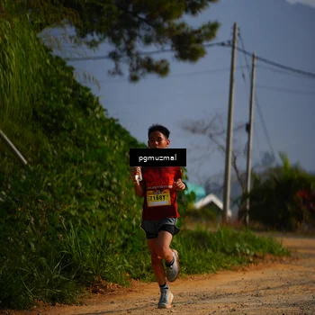 Runner Photo 5273827