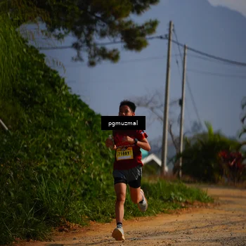 Runner Photo 5273829