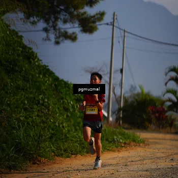 Runner Photo 5273830
