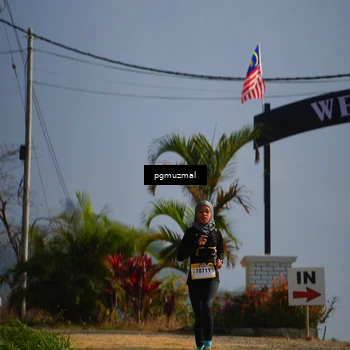 Runner Photo 5273846