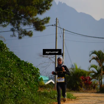 Runner Photo 5273862