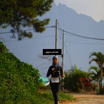 Runner Photo 5273868