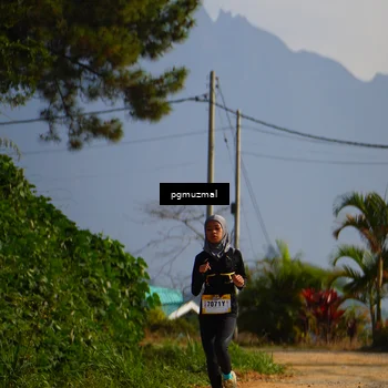 Runner Photo 5273869