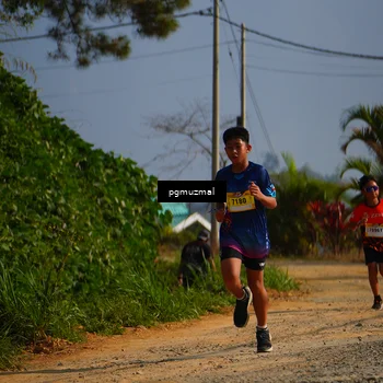 Runner Photo 5273937