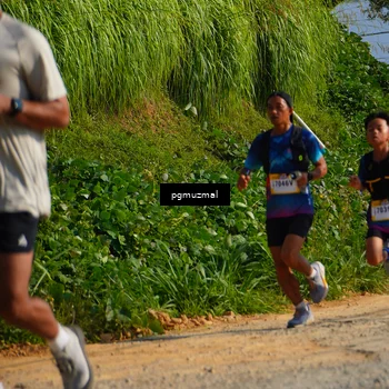 Runner Photo 5274032