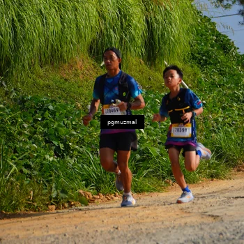 Runner Photo 5274055
