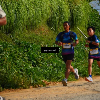 Runner Photo 5274067