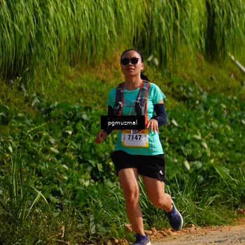 Runner Photo 5274247