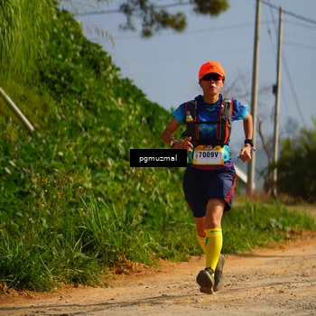 Runner Photo 5274366