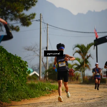 Runner Photo 5274518