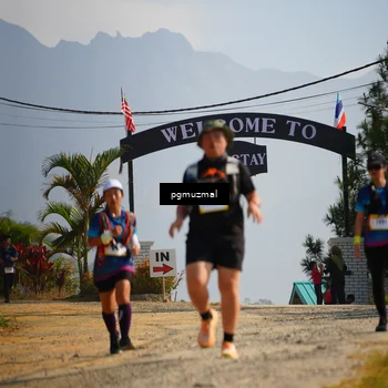 Runner Photo 5274542