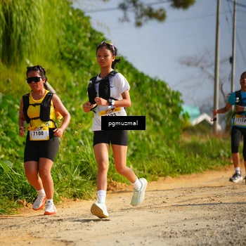 Runner Photo 5274676