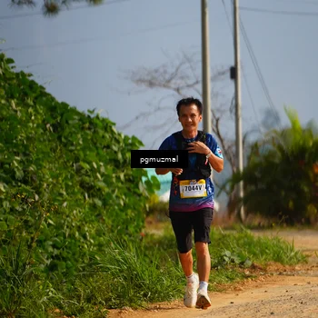 Runner Photo 5274767