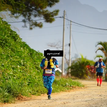 Runner Photo 5274935