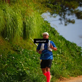 Runner Photo 5274955