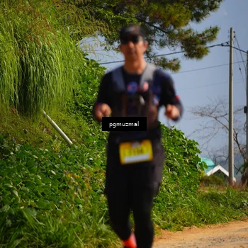 Runner Photo 5275132