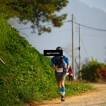 Runner Photo 5275168