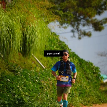 Runner Photo 5275186