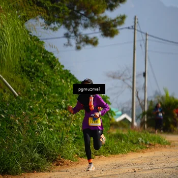 Runner Photo 5275197