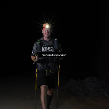 Runner Photo 5275523