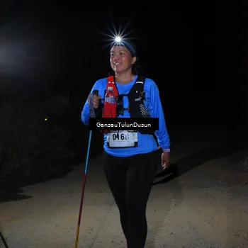 Runner Photo 5275795