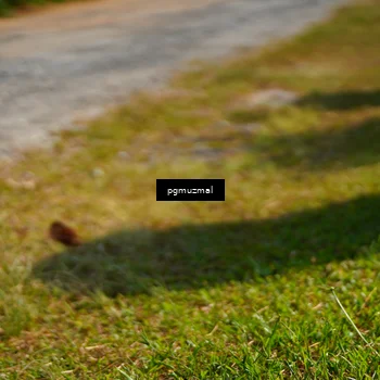 Runner Photo 5275816