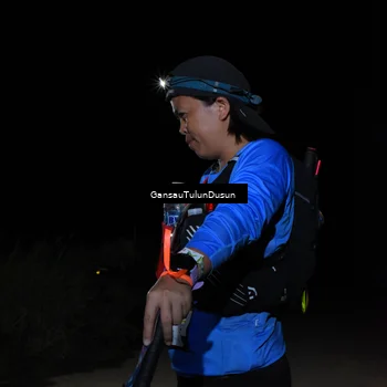 Runner Photo 5275870