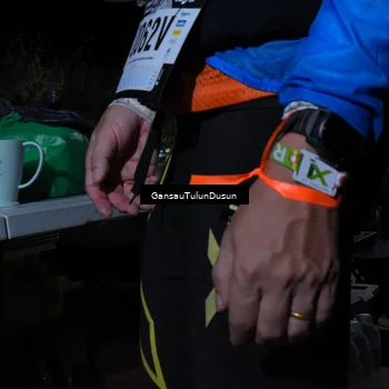 Runner Photo 5275901