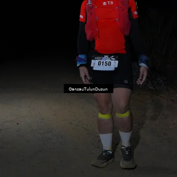 Runner Photo 5275950