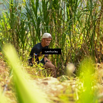 Runner Photo 5276062