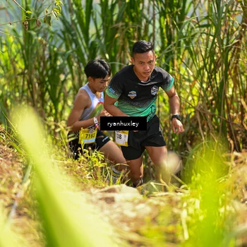 Runner Photo 5276072
