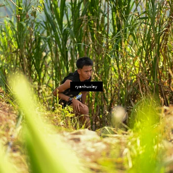 Runner Photo 5276087
