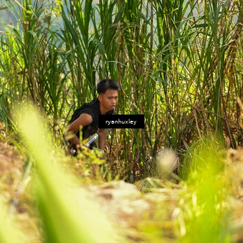 Runner Photo 5276088