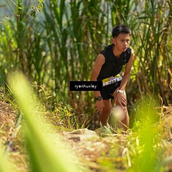 Runner Photo 5276098