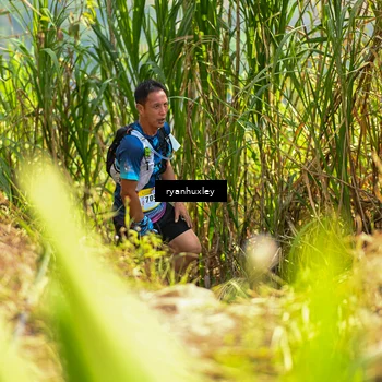 Runner Photo 5276120