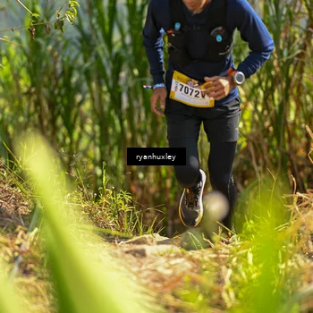 Runner Photo 5276166