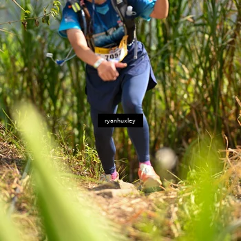 Runner Photo 5276202
