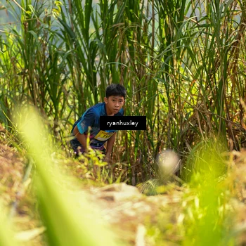 Runner Photo 5276217