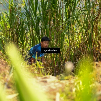 Runner Photo 5276220