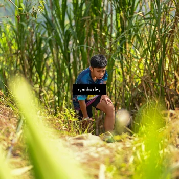 Runner Photo 5276235