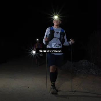 Runner Photo 5276277