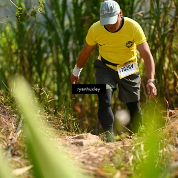 Runner Photo 5276361