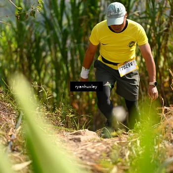 Runner Photo 5276368