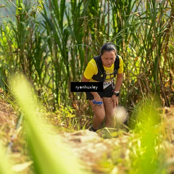 Runner Photo 5276424