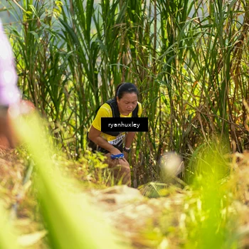 Runner Photo 5276433
